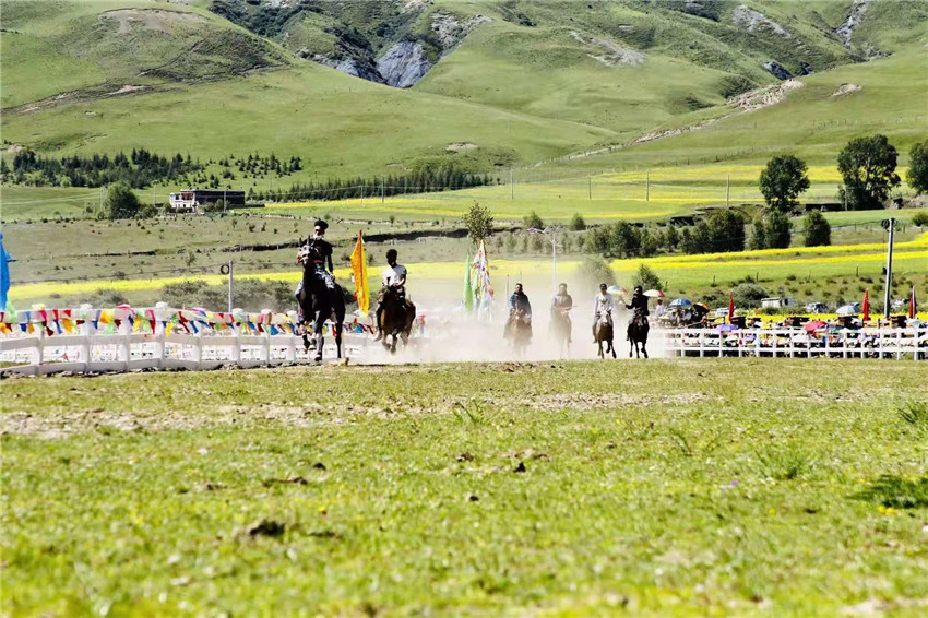 賽馬活動(dòng).jpg 賽馬活動(dòng).jpg