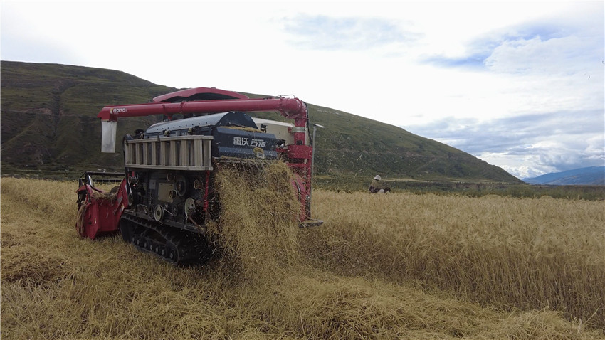 機(jī)械收割.jpg 機(jī)械收割.jpg