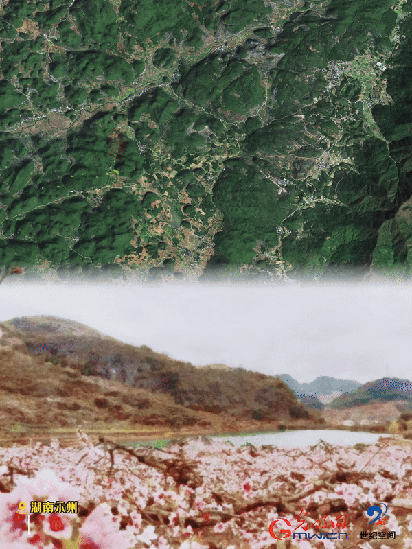 清明游玩賞花圖鑒來了！衛(wèi)星鏡頭帶你先睹為快