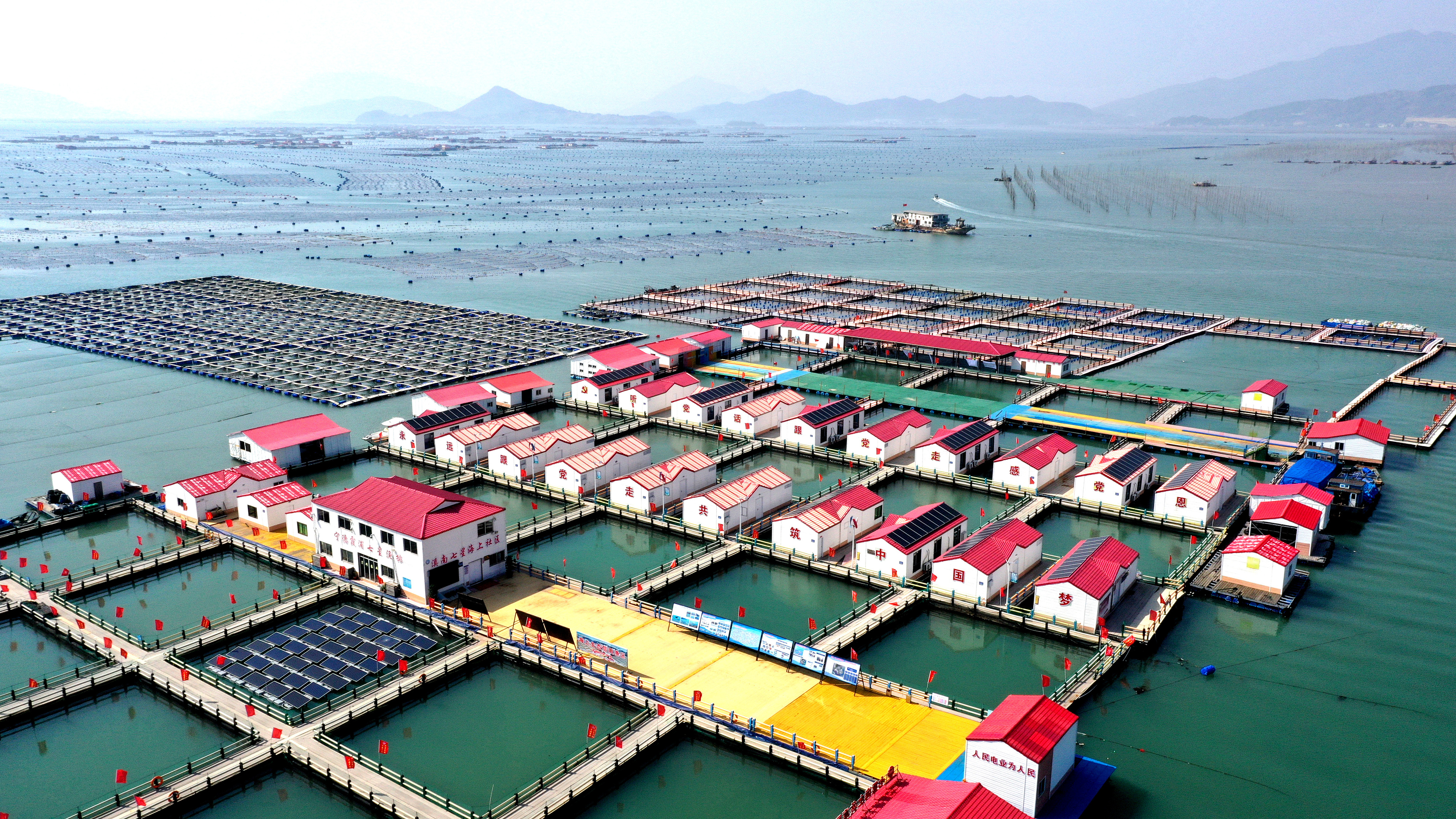 2024年3月20日，福建省寧德市，霞浦縣溪南鎮(zhèn)七星村漁排養(yǎng)殖示范區(qū)，漁民駕駛養(yǎng)殖船進行海參養(yǎng)殖作業(yè)。